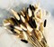 100 Stems Bunny Tails Pampas Grass Dried Flowers - 30pcs Black, 30pcs White, 40pcs Natural Brown, Boho Home & Kitchen Decor, Pampas Grass Decor